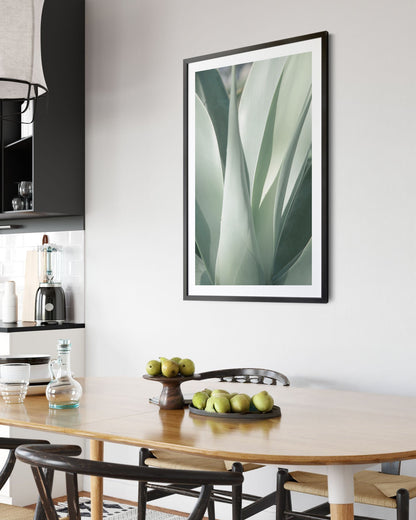 Soft Green – Agave Wall Art
