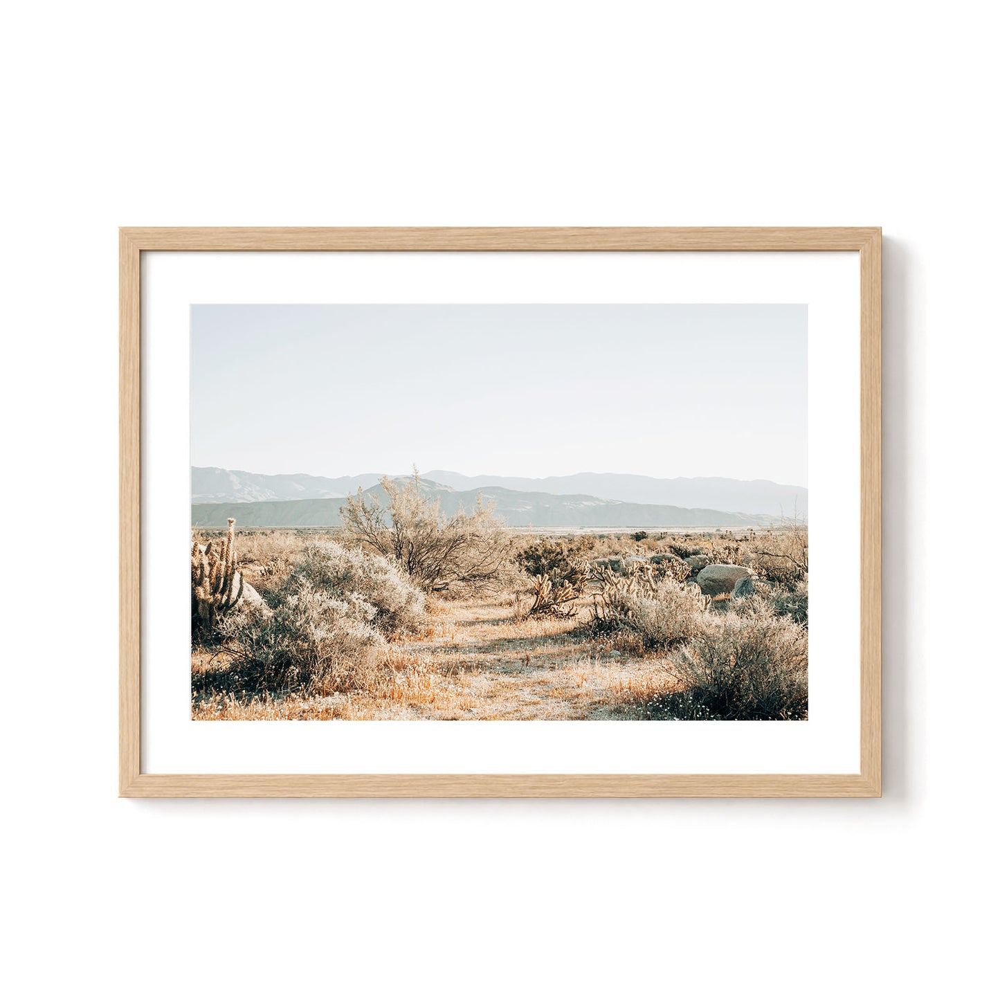Desert Stillness
