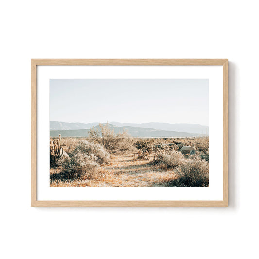 Desert Stillness