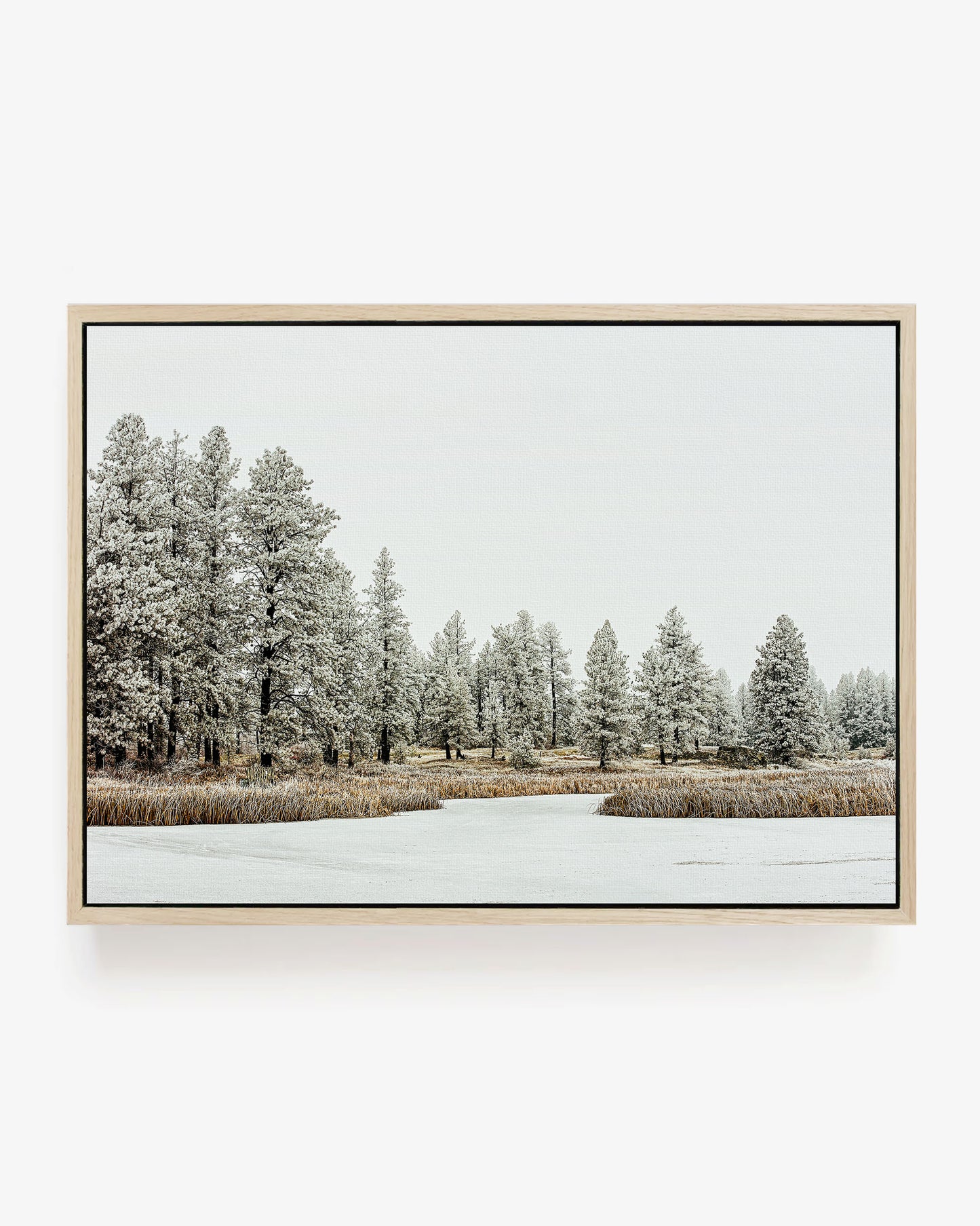 Winter Wilderness