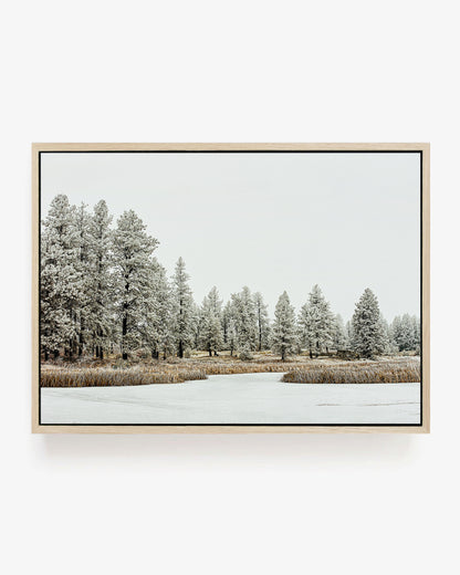 Winter Wilderness