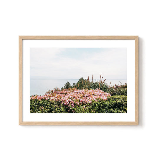 Coastal Bloom