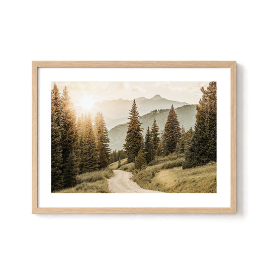 Colorado Mountain Trail