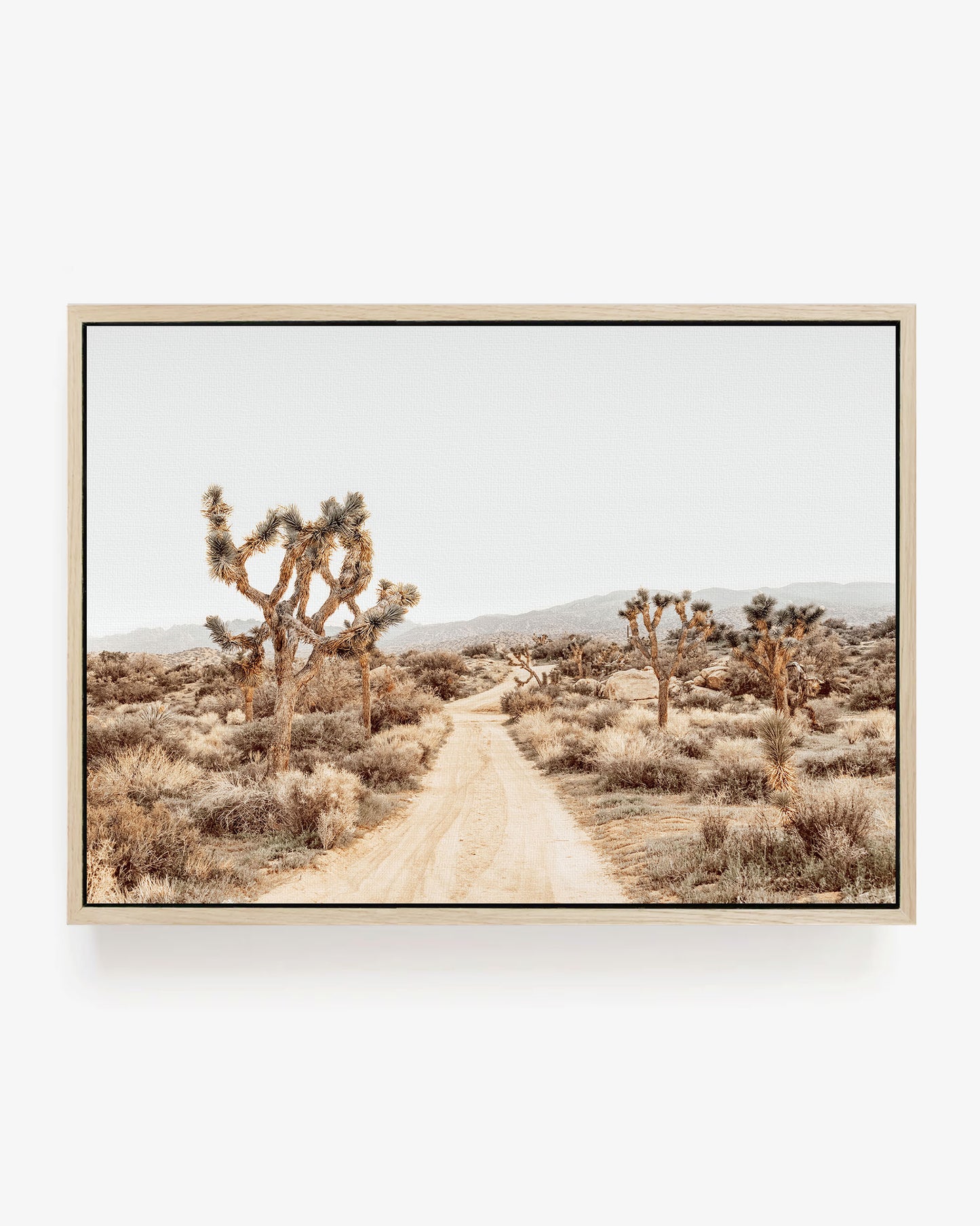 Open Desert Road