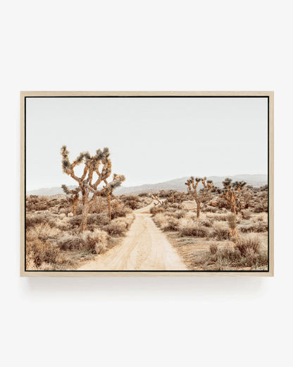 Open Desert Road