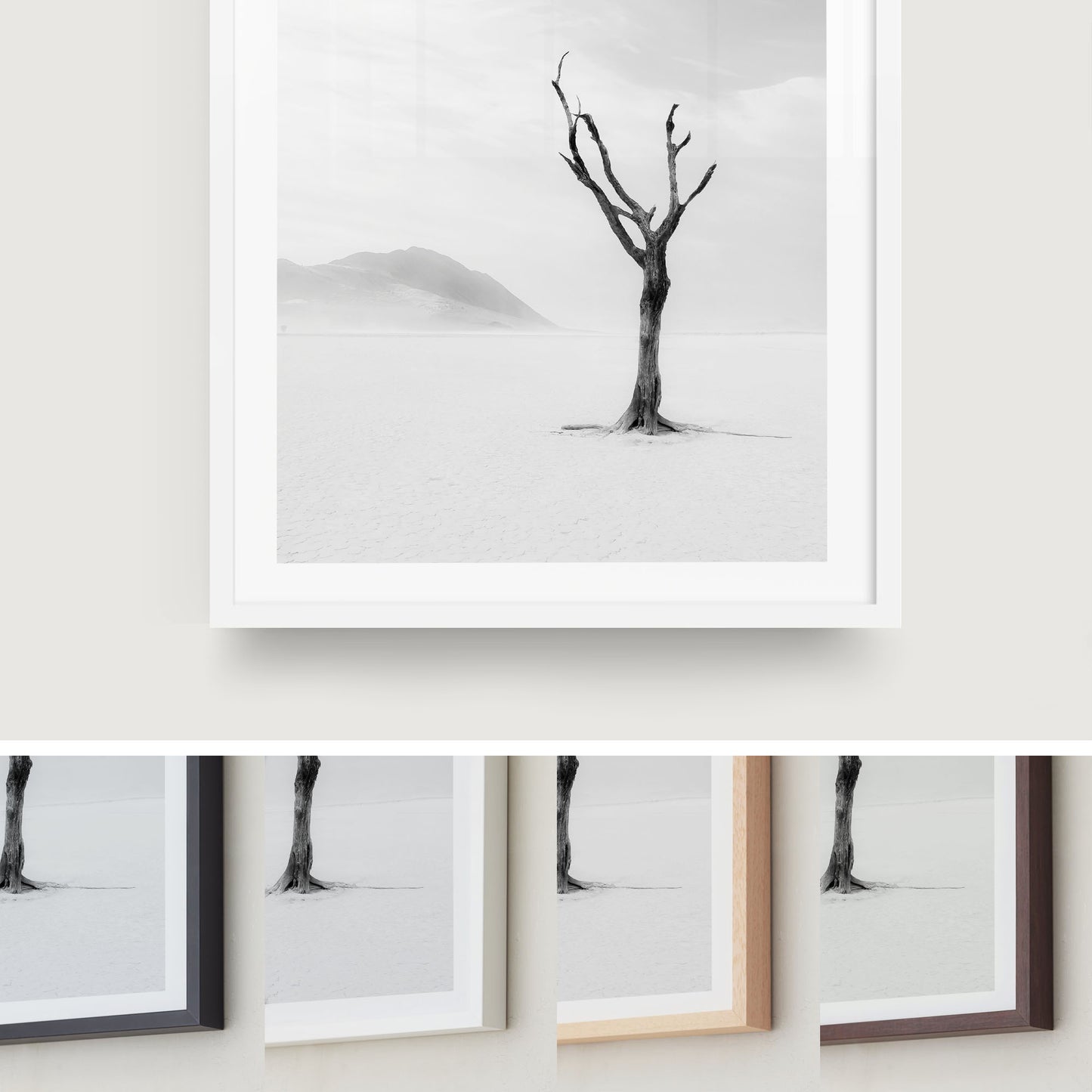 Lone Desert Tree