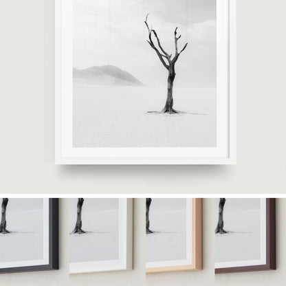 Lone Desert Tree