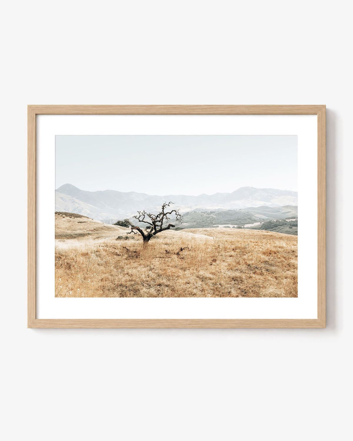 Golden Terrain