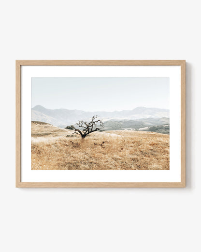 Golden Terrain