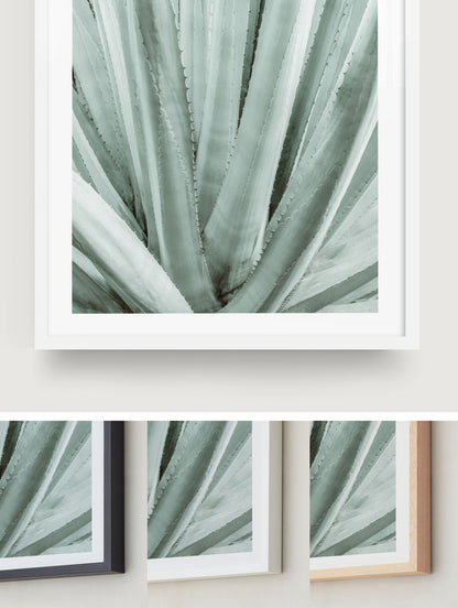 Botanical Symmetry