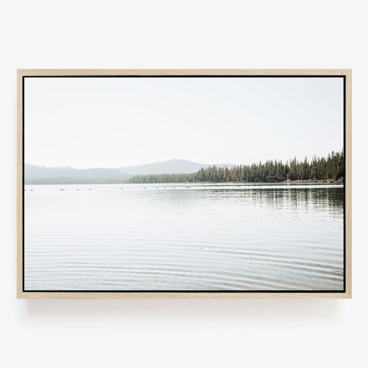Across Quiet Water