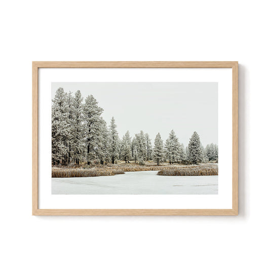 Winter Wilderness