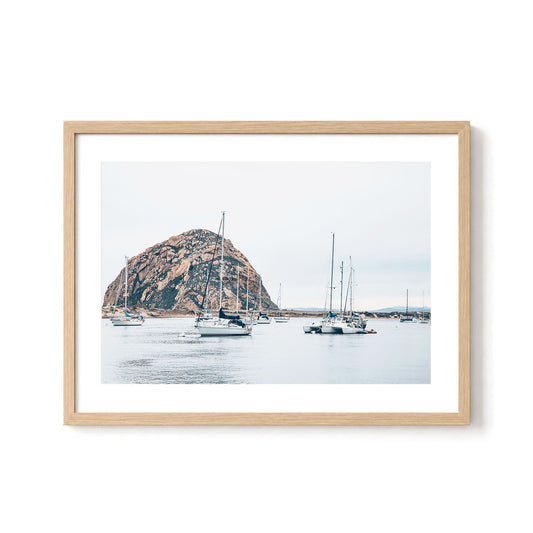 Harbor Calm