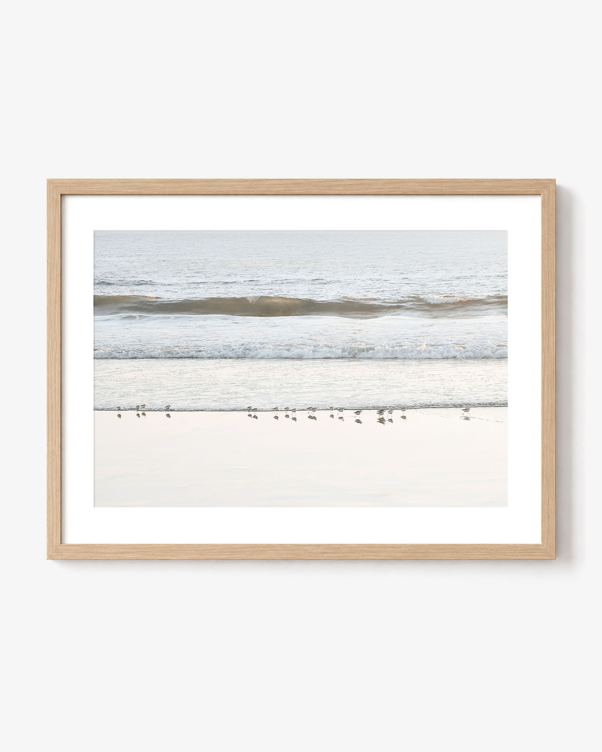 Shore Birds