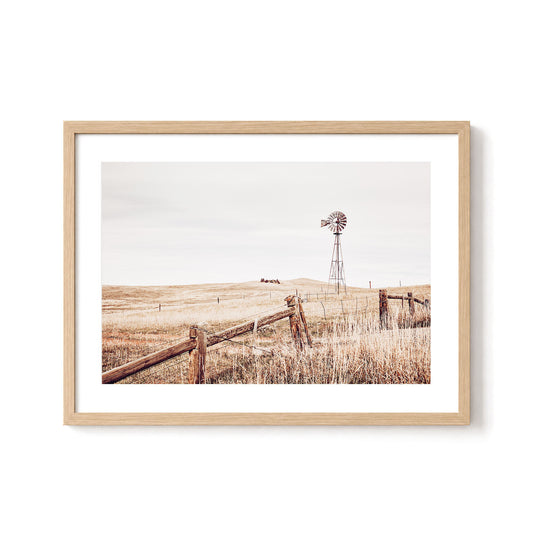 Windmill Meadow