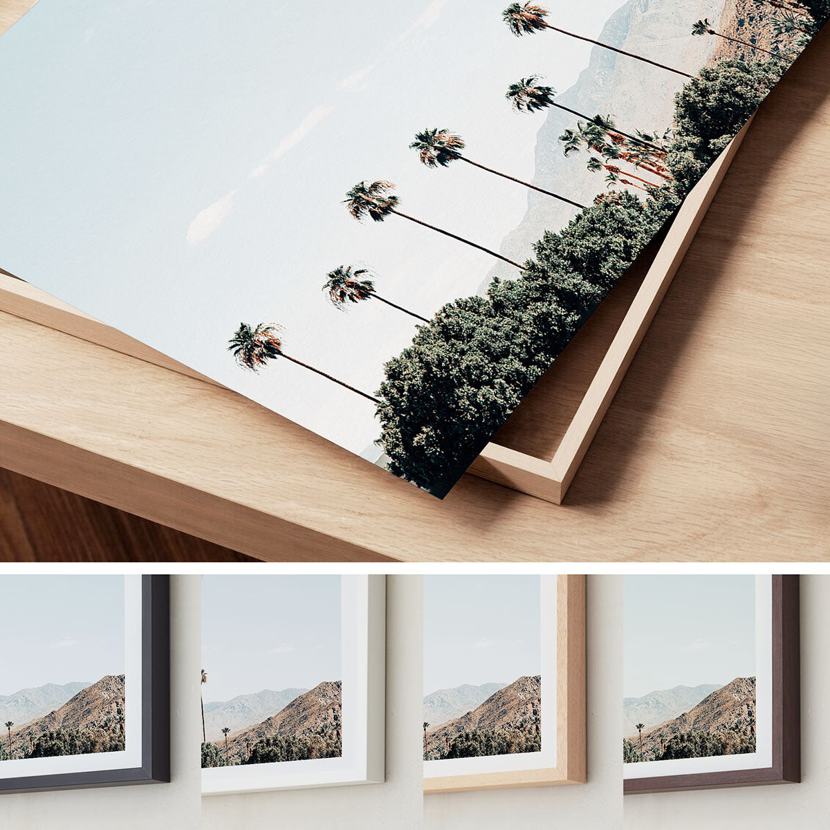 Sunny Grove – Palm Springs Wall Art