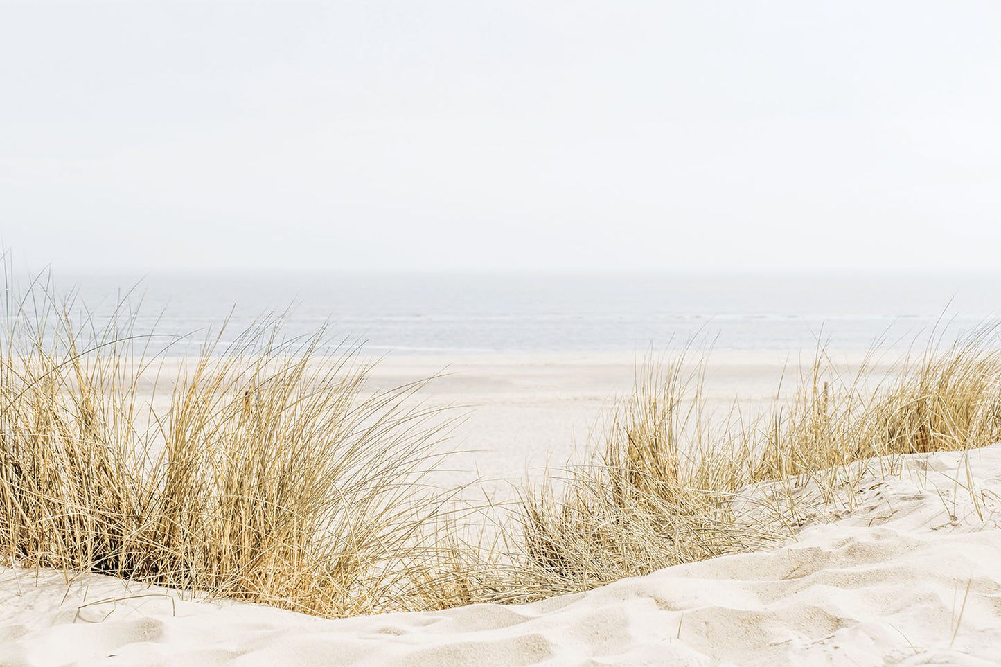 SHORELINE