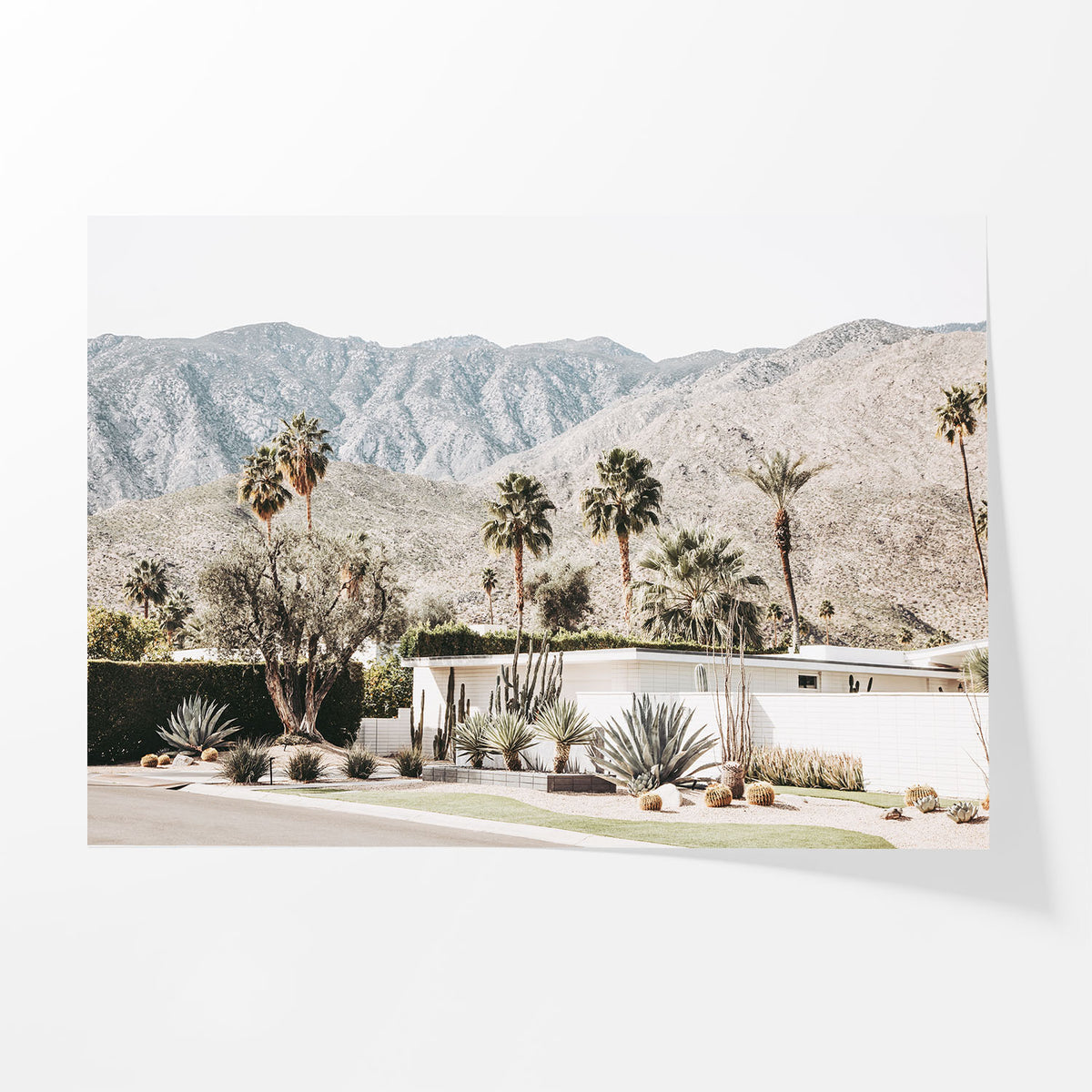 Mountain Modern