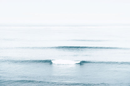 FOLDS