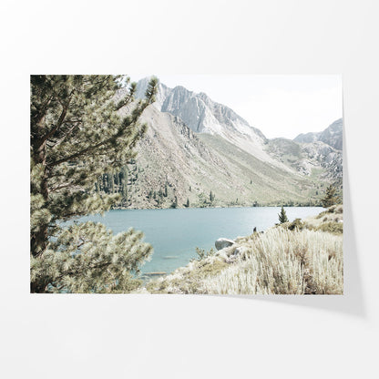 Alpine Haven