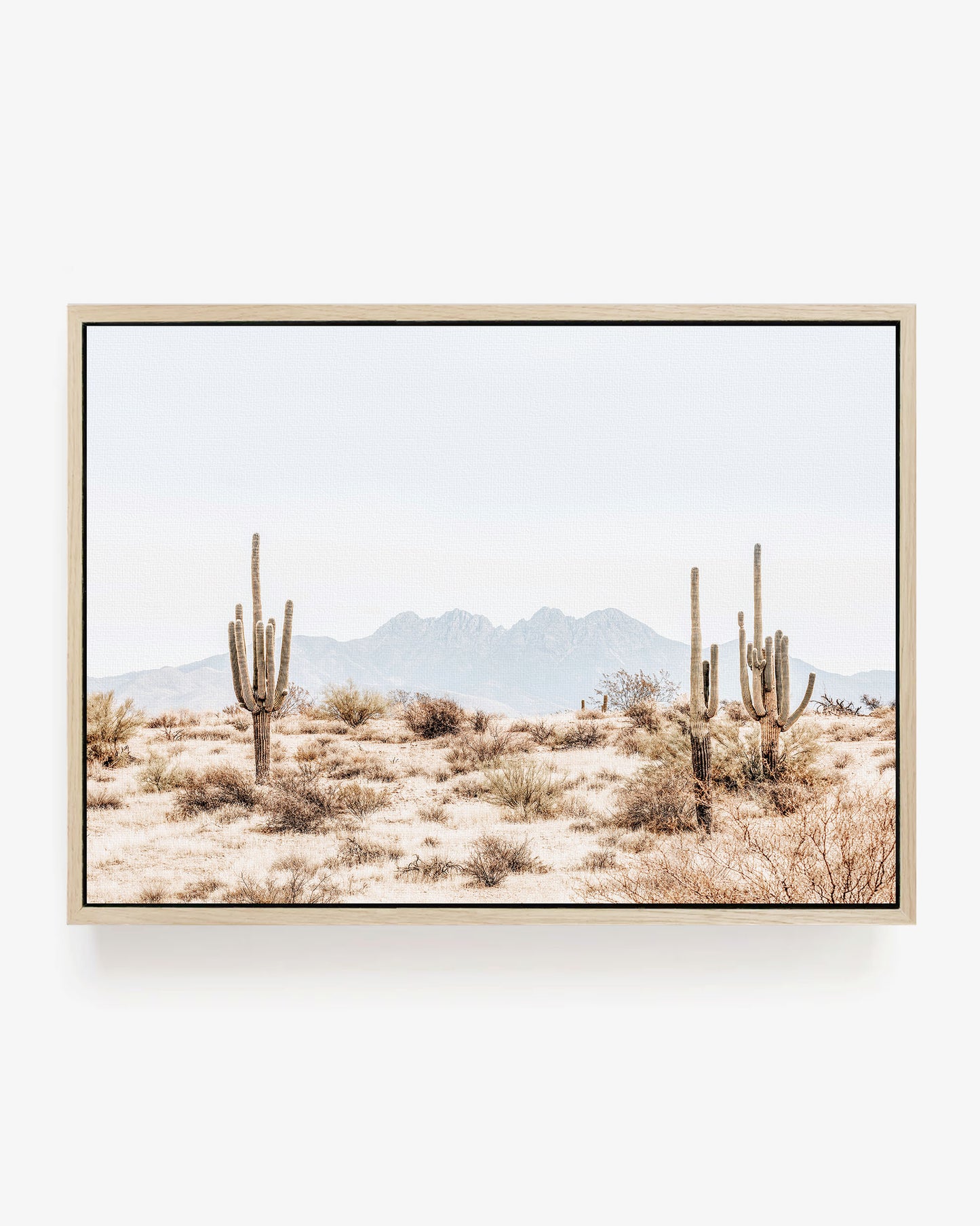 Four Peaks Horizon