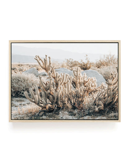 Cactus Texture – California Desert Wall Art