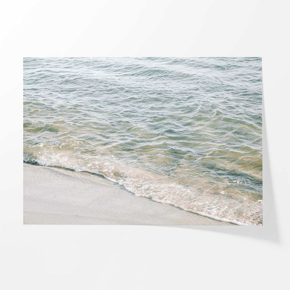 Water’s Edge