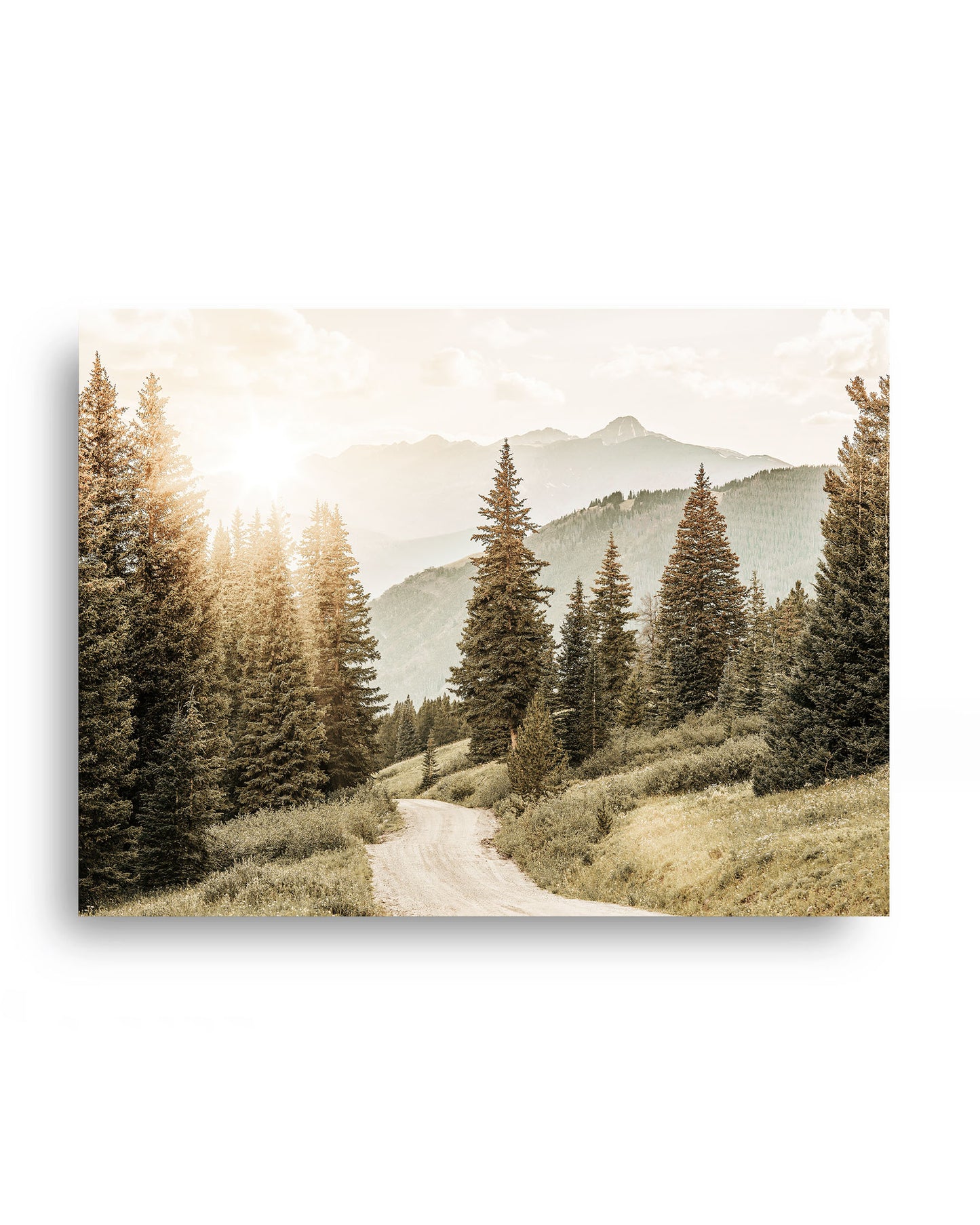 Colorado Mountain Trail