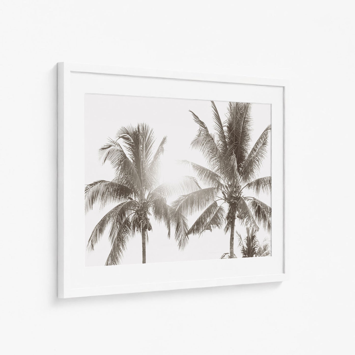 HAWAIIAN PALMS