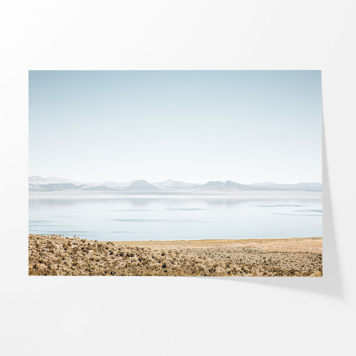 Quiet Waters