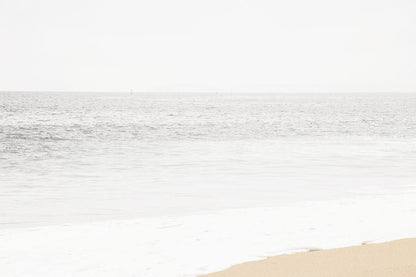 MUTED COAST