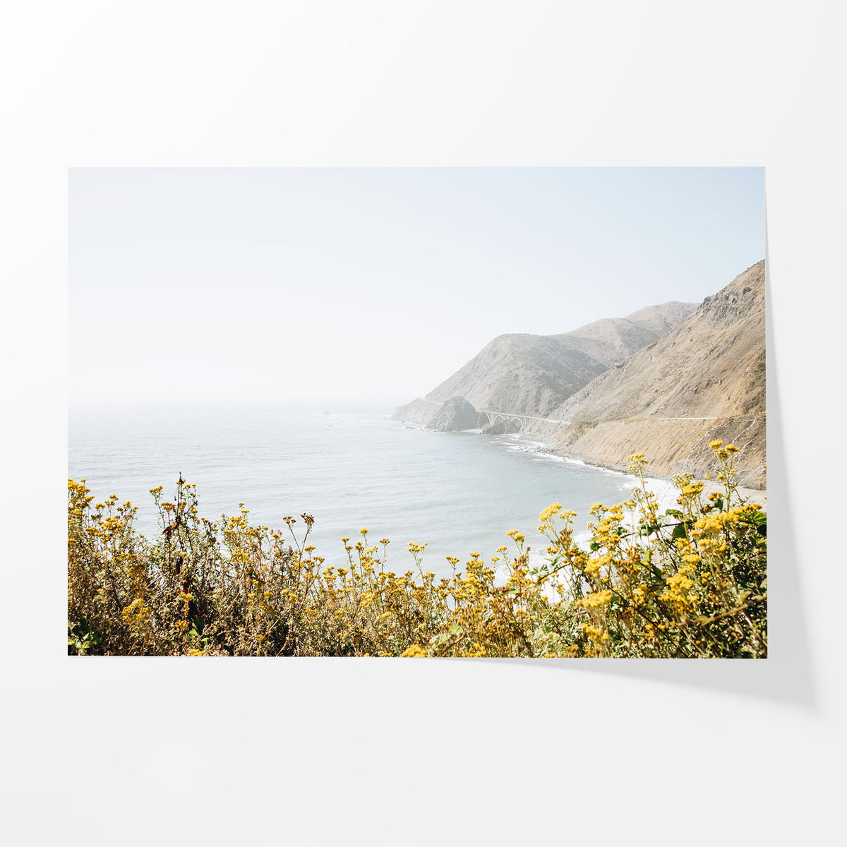 Pacific Overlook