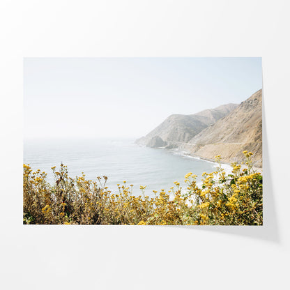 Pacific Overlook