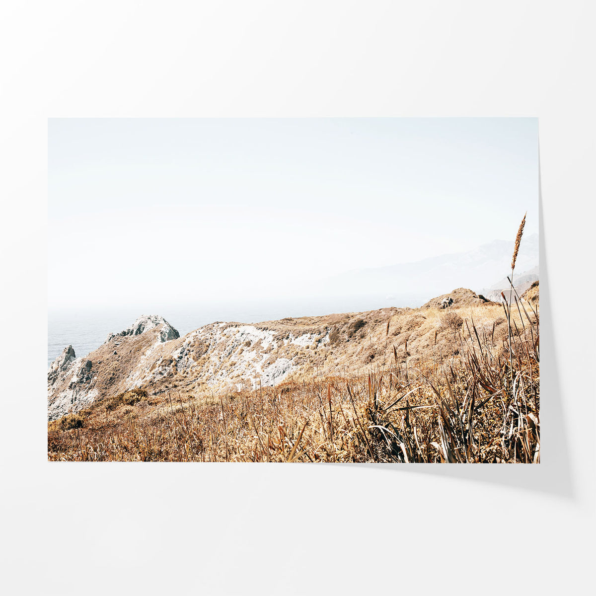Wild Headland