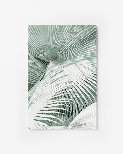 MINT PALMS