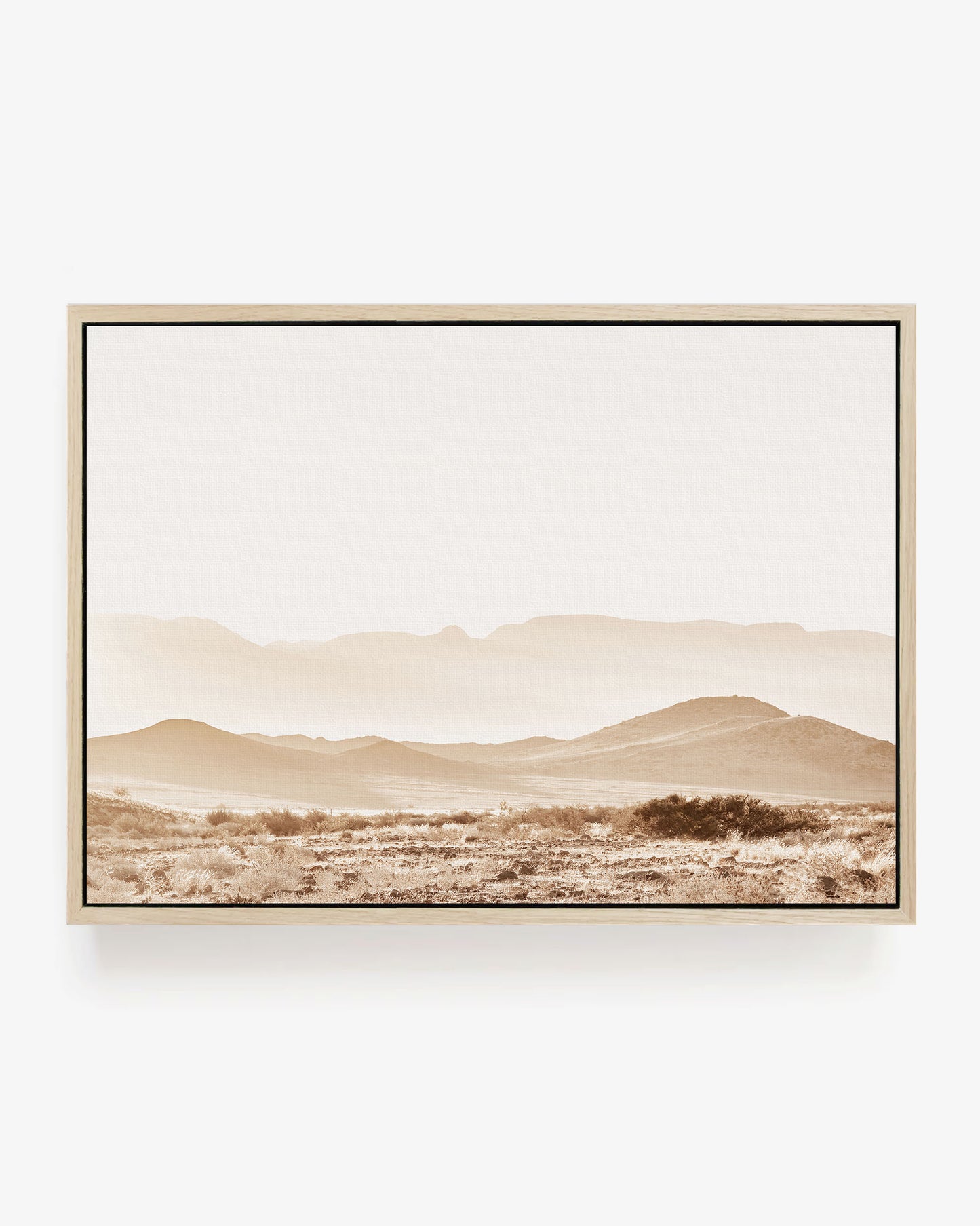 Sunlit Valley