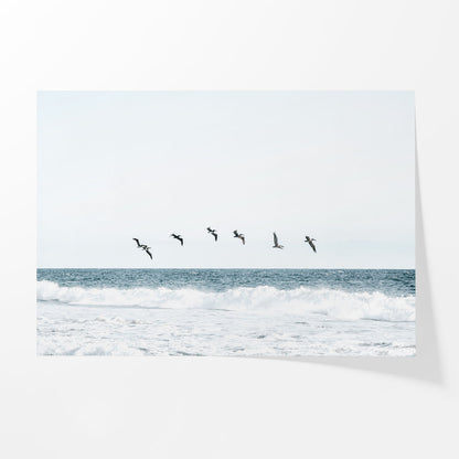 Ocean Crossing
