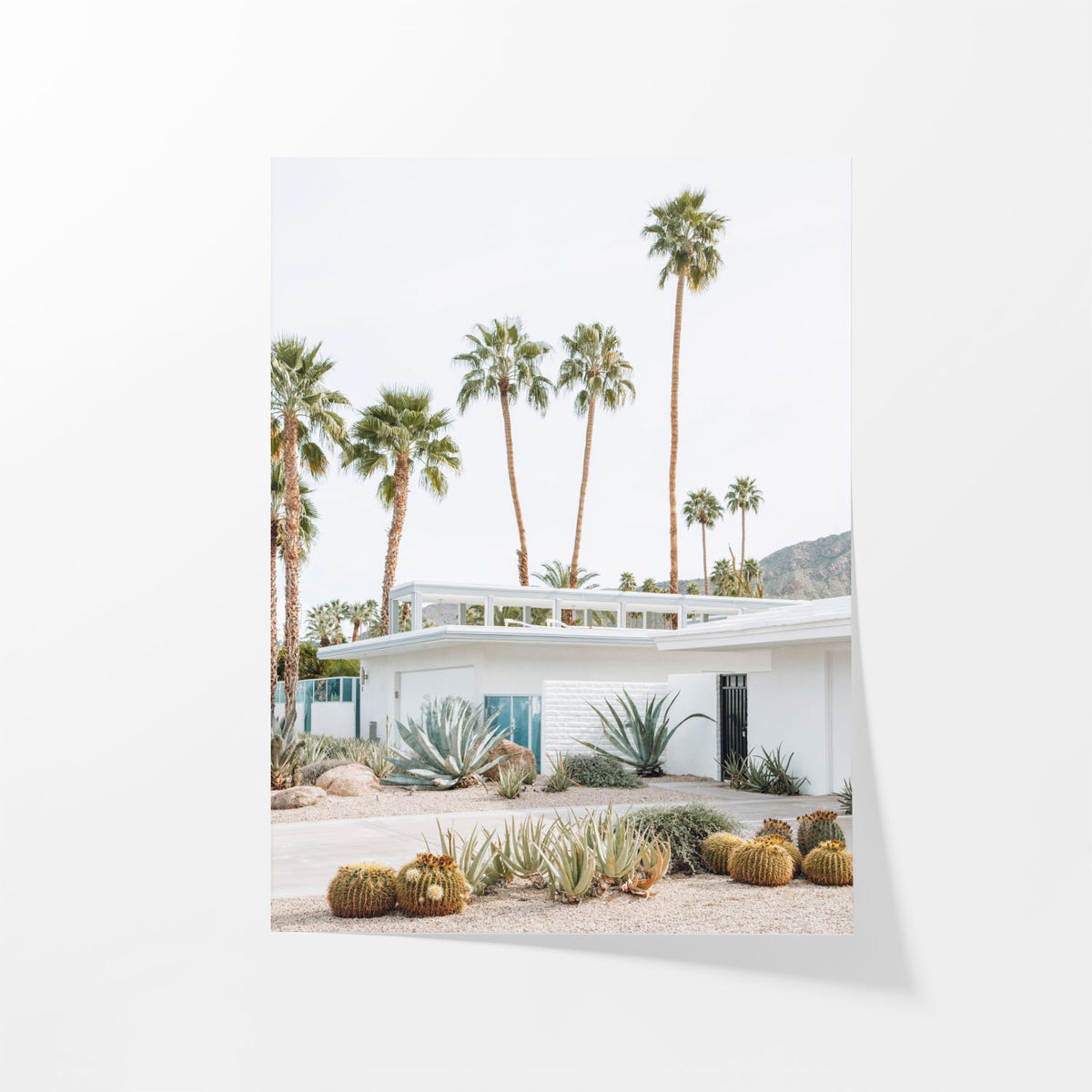 Palm Springs Living