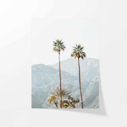 Two Desert Palms