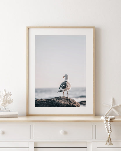 SEAGULL OCEAN PRINT – FREE DIGITAL DOWNLOAD