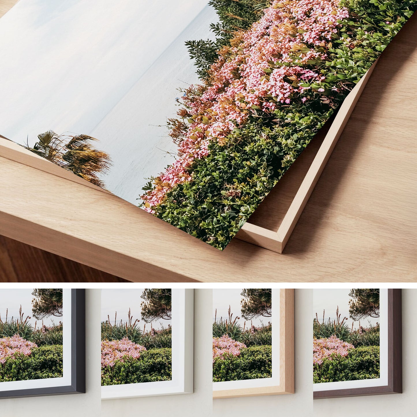 Coastal Blooms – Laguna Beach Wall Art