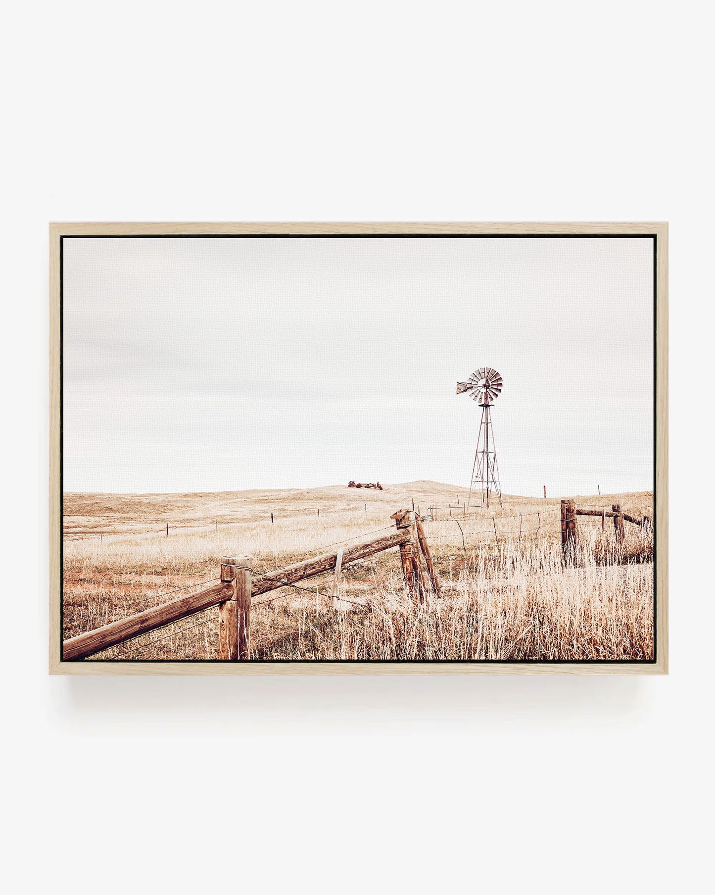 Windmill Meadow