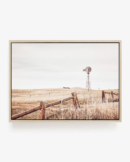 Windmill Meadow