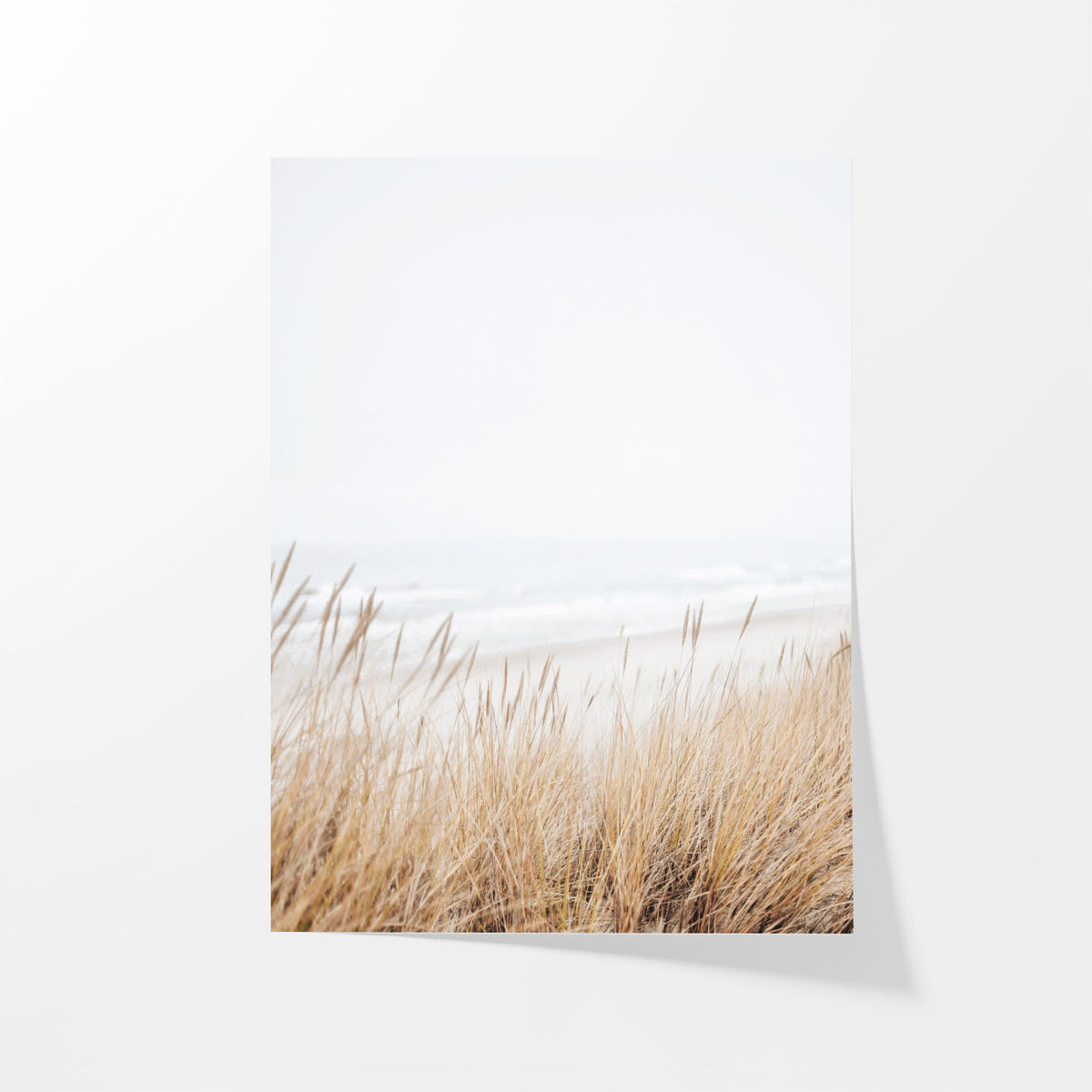 Grass by Sea