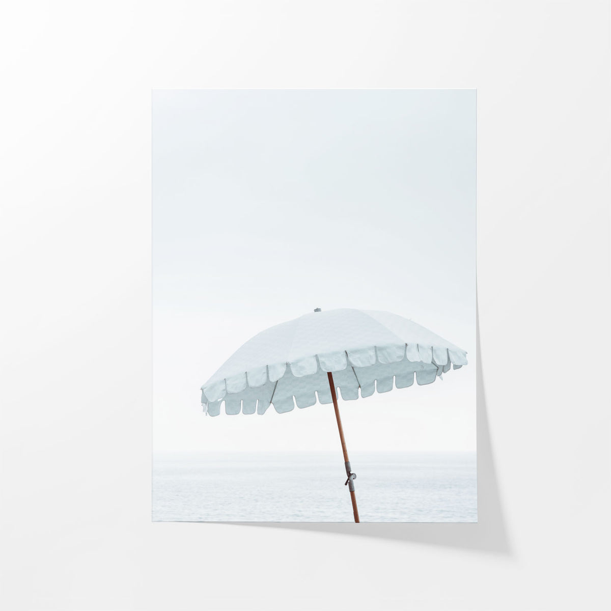 Coastal Shade