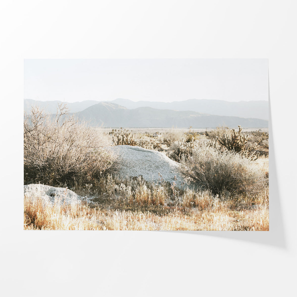 Resting Stone