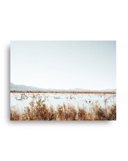 Desert Marsh