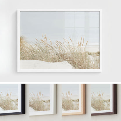 Dune Grass by the Sea