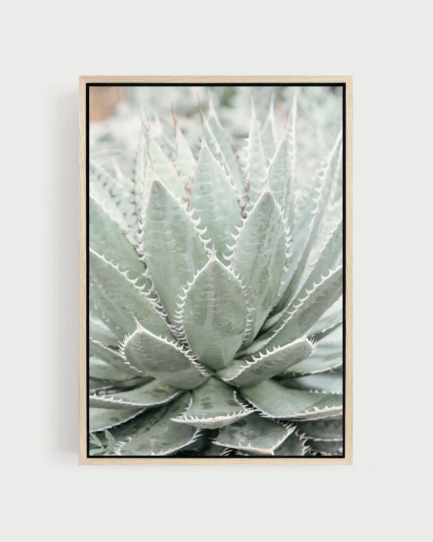 Desert Bloom – Succulent Wall Art