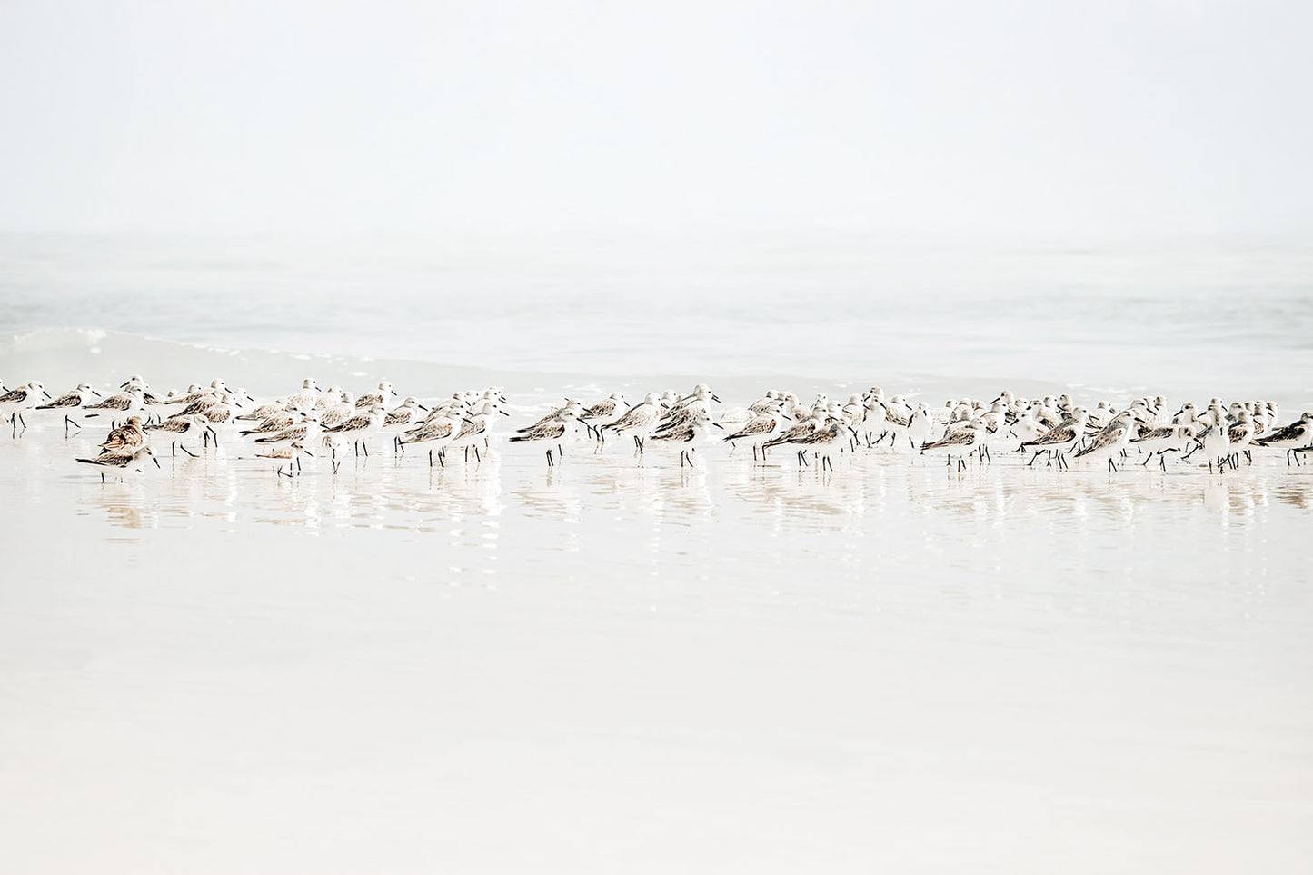 BEACH GATHERING